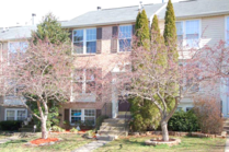 House for sale, falls church, mls, listings, real estate, remax, re/max, multiple listing, fenced yard, short sale